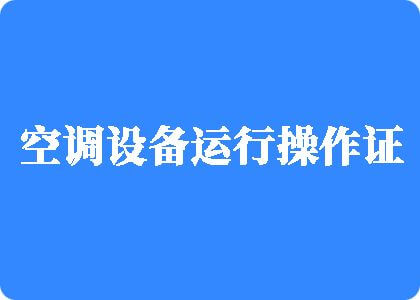 操鸡巴视频免费的制冷工证