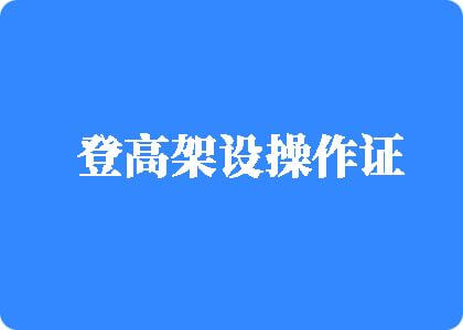 欧美大鸡鸡登高架设操作证